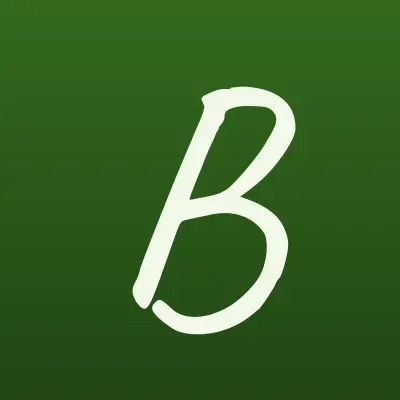 Belle, салон красоты, лого-визитка